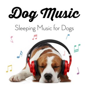 'Dog Music - Sleeping Music for Dogs' için resim