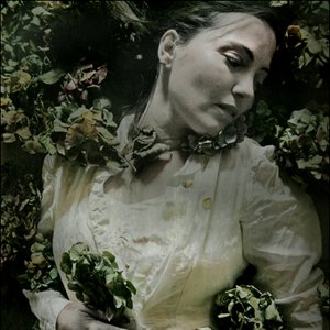Image for 'sToa'