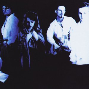 Image for 'Canvasser'