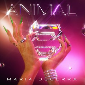 Image for 'Animal'