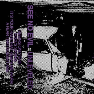 Image for 'Unleveled'