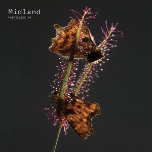 Zdjęcia dla 'FABRICLIVE 94: Midland'