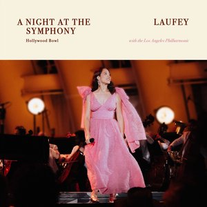 Image for 'A Night At The Symphony: Live at the Hollywood Bowl'