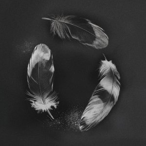 Image for 'Free'