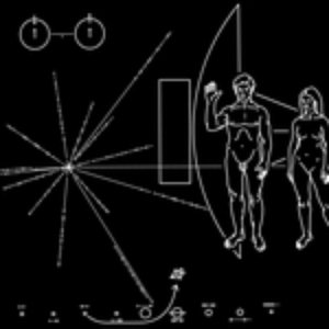 Image for 'coitus aliena'