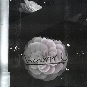 Image for 'haunt u'