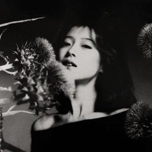 Immagine per '中森明菜'