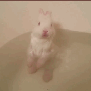 naokitty11