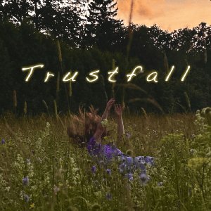 Immagine per 'Trustfall'