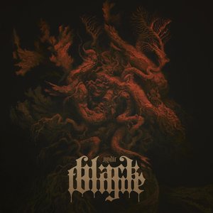 Image for 'Nadir'