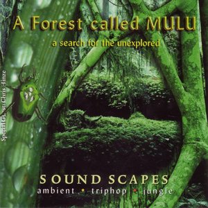 Image for 'A Forest Called MULU'