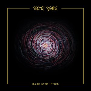 Immagine per 'Dark Synthetics'
