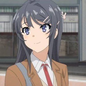 Image for 'Mai Sakurajima(CV:Asami Seto)'