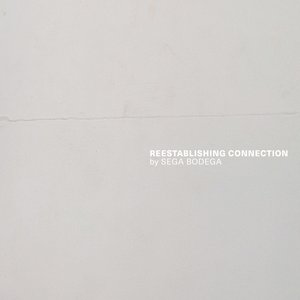 Image for 'Reestablishing Connection [2020]'