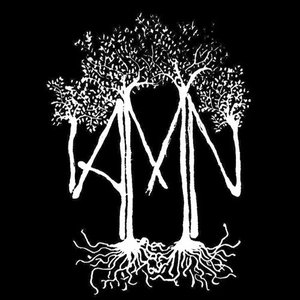 Immagine per 'AMN'