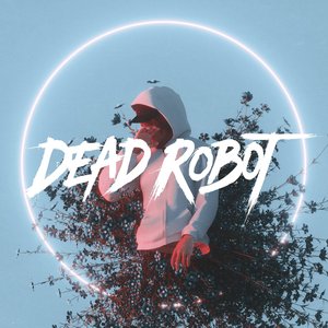 Immagine per 'Dead Robot'