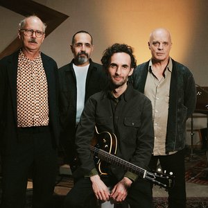 Image for 'Julian Lage, John Medeski, Jorge Roeder & Kenny Wollesen'