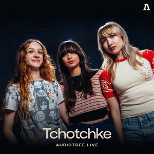 Immagine per 'Tchotchke on Audiotree Live'
