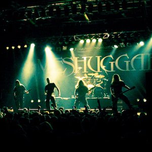 Image for 'Meshuggah'