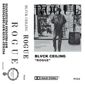 Image for 'rogue'