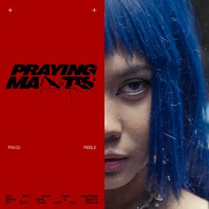 Image for 'Praying Mantis'