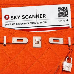 Image for 'SKYSCANNER'