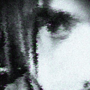 Image for 'Nonima'