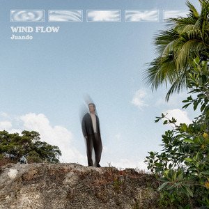 Image for 'Wind Flow'
