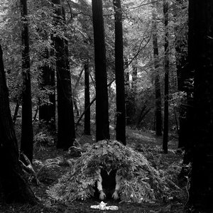 Image for 'Fletcher Tucker'