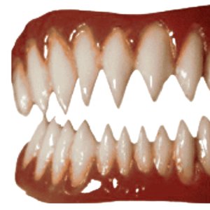 Image for 'teeth'