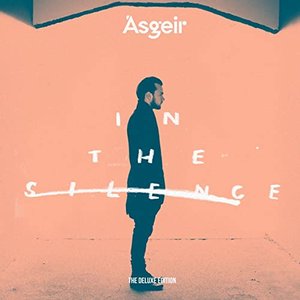 Image for 'In The Silence (Deluxe)'