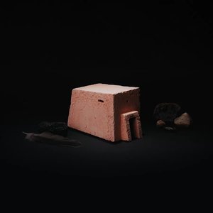 Image for 'Donde las serpientes toman el sol'