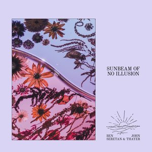 Immagine per 'Sunbeam of No Illusion'