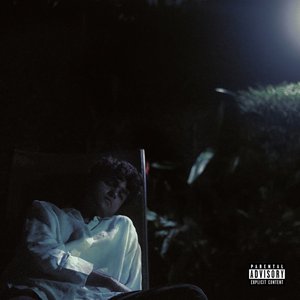 Bild für 'moonlight'