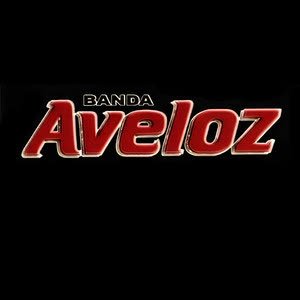 Bild für 'Banda Aveloz'