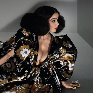 'Björk'の画像