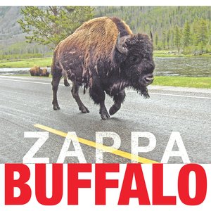Imagen de 'Buffalo'