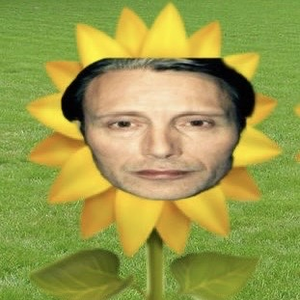 acidbabi