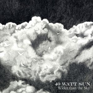 Image for 'Wider Than The Sky'