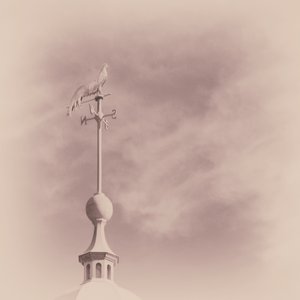 Immagine per 'Weathervane'