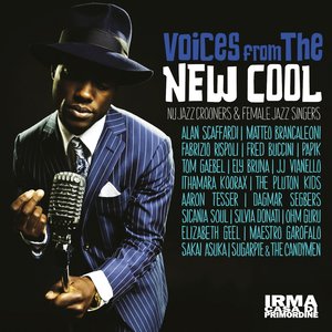 'Voices from the New Cool (Nu Jazz Crooners and Female Jazz Singers)' için resim