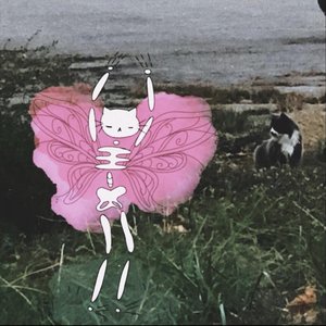 Image for 'songs for bugs'