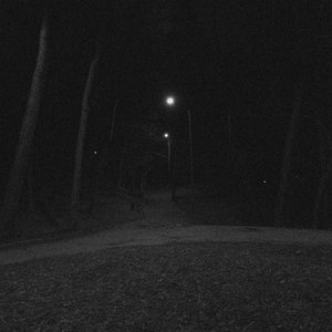 Image for 'wandering'