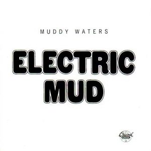 Image for 'Electric Mud'