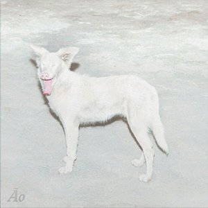 Image for 'Malandra'