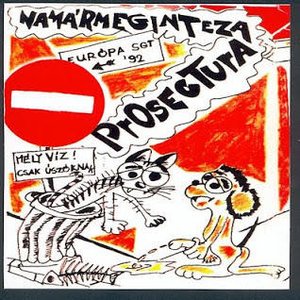 Imagen de 'NamármegintezaProsectura'