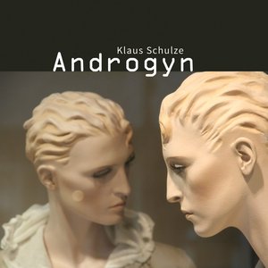 “Androgyn”的封面
