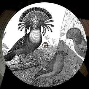 Image for 'Anna Lunoe & Friends'