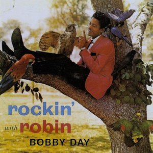 Image for 'Rockin' With Robin'