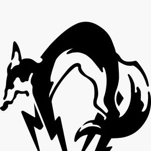 Slyskechfan